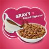 Friskies Gravy Swirlers Savory Chicken & Salmon Dry Cat Food, 16 lb Bag