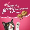 Friskies Gravy Swirlers Savory Chicken & Salmon Dry Cat Food, 16 lb Bag